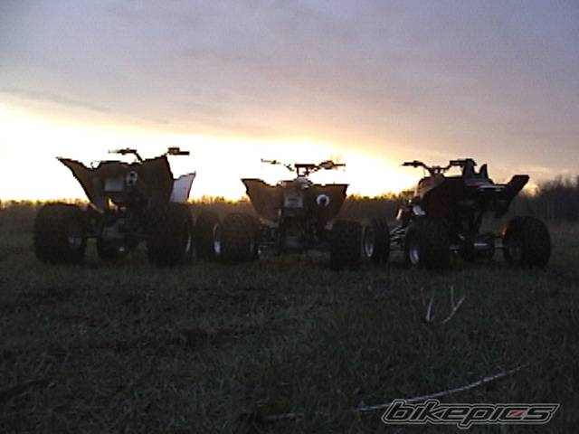 2005 YAMAHA YZ 490 | Picture 556993 motorcycle photo