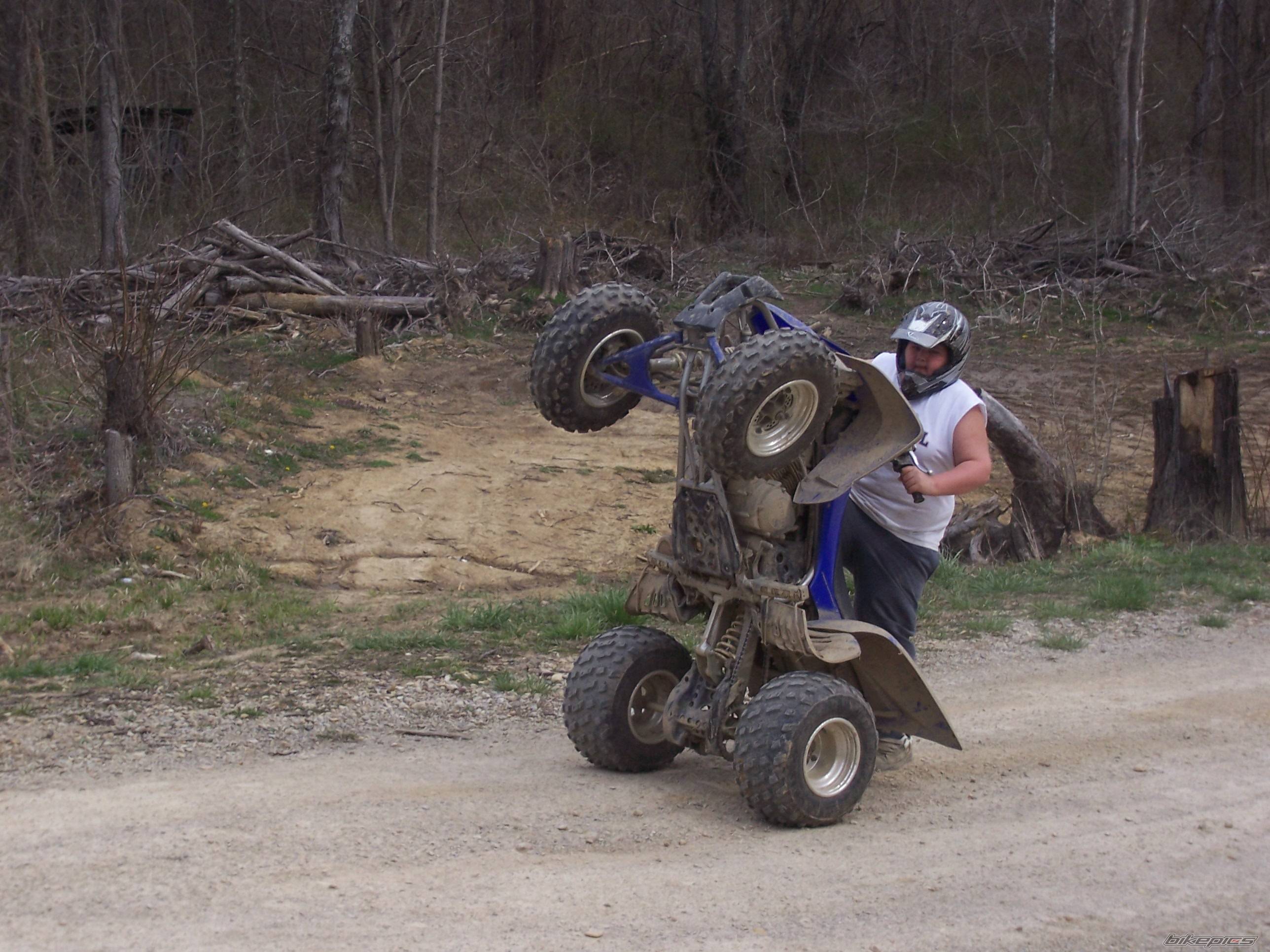 2006 YAMAHA RAPTOR 350 | Picture 557194 motorcycle photo