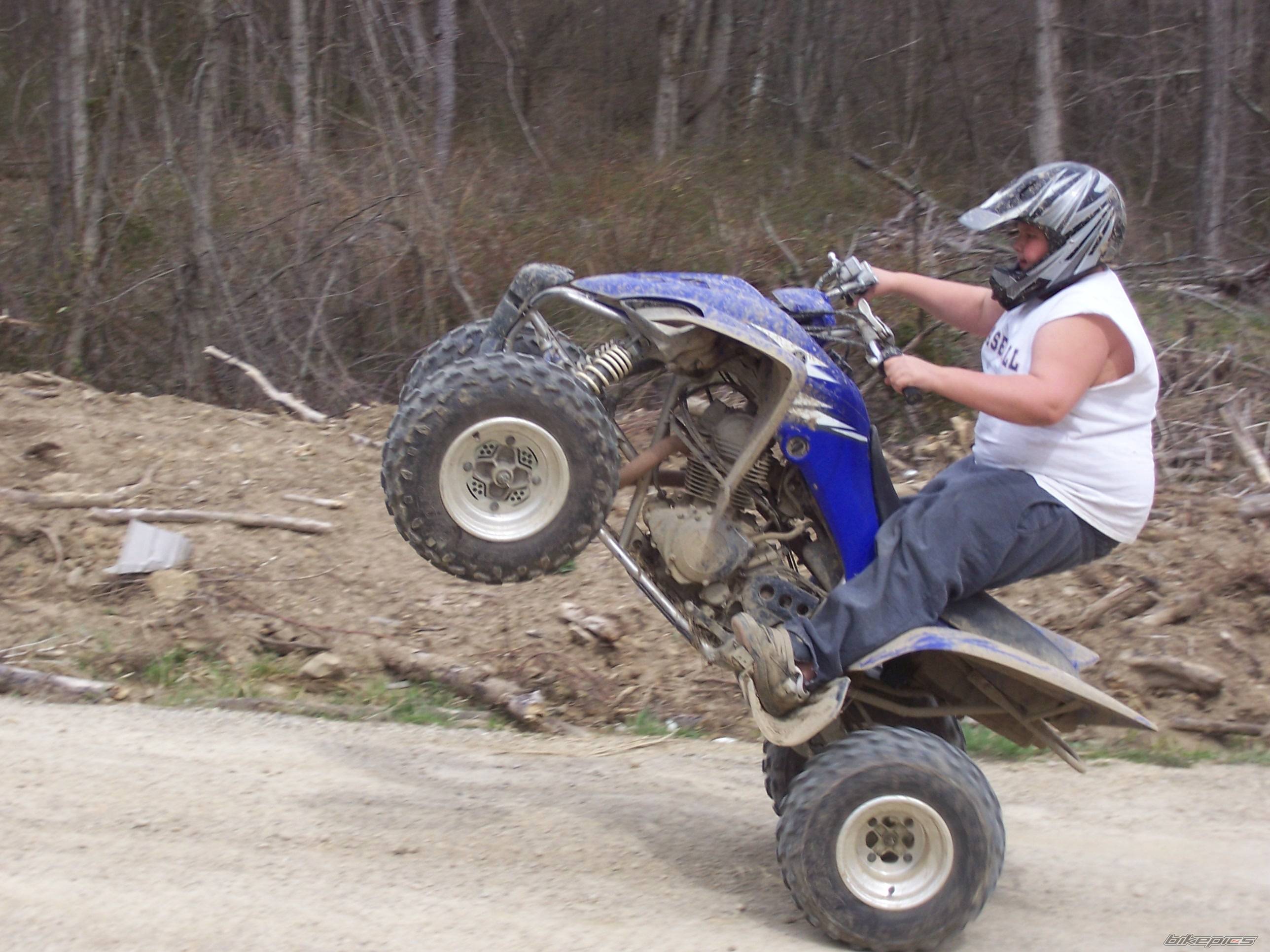 2006 YAMAHA RAPTOR 350 | Picture 557199 motorcycle photo