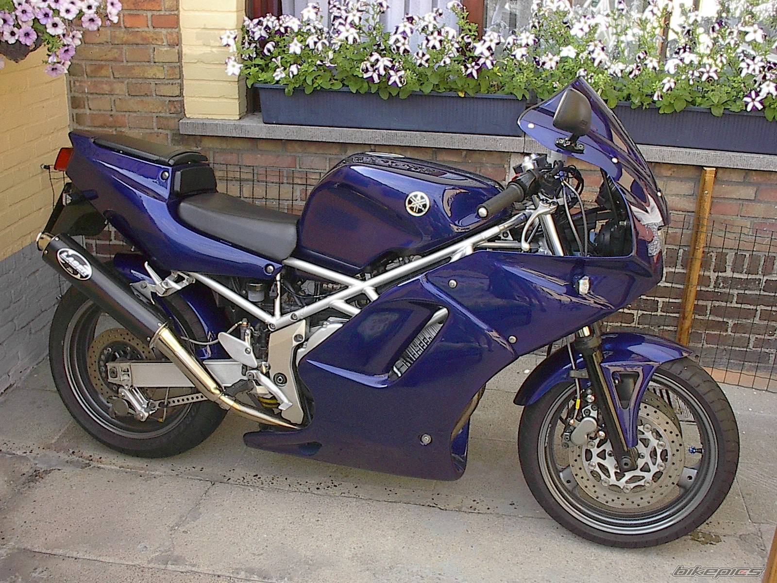 1997 YAMAHA TRX 850 | Picture 55749 motorcycle photo
