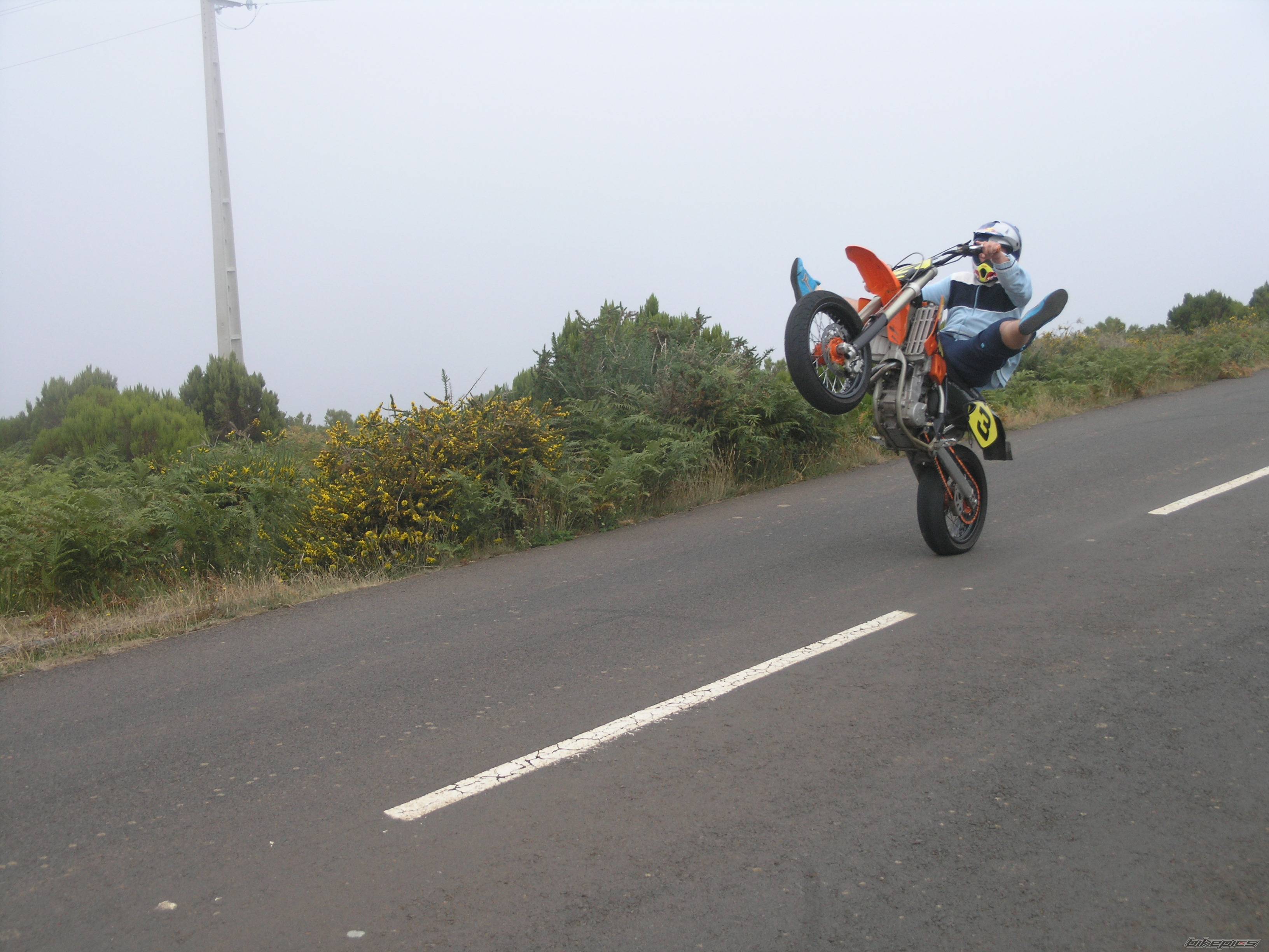 2003 KTM 525 EXC | Picture 557632 motorcycle photo