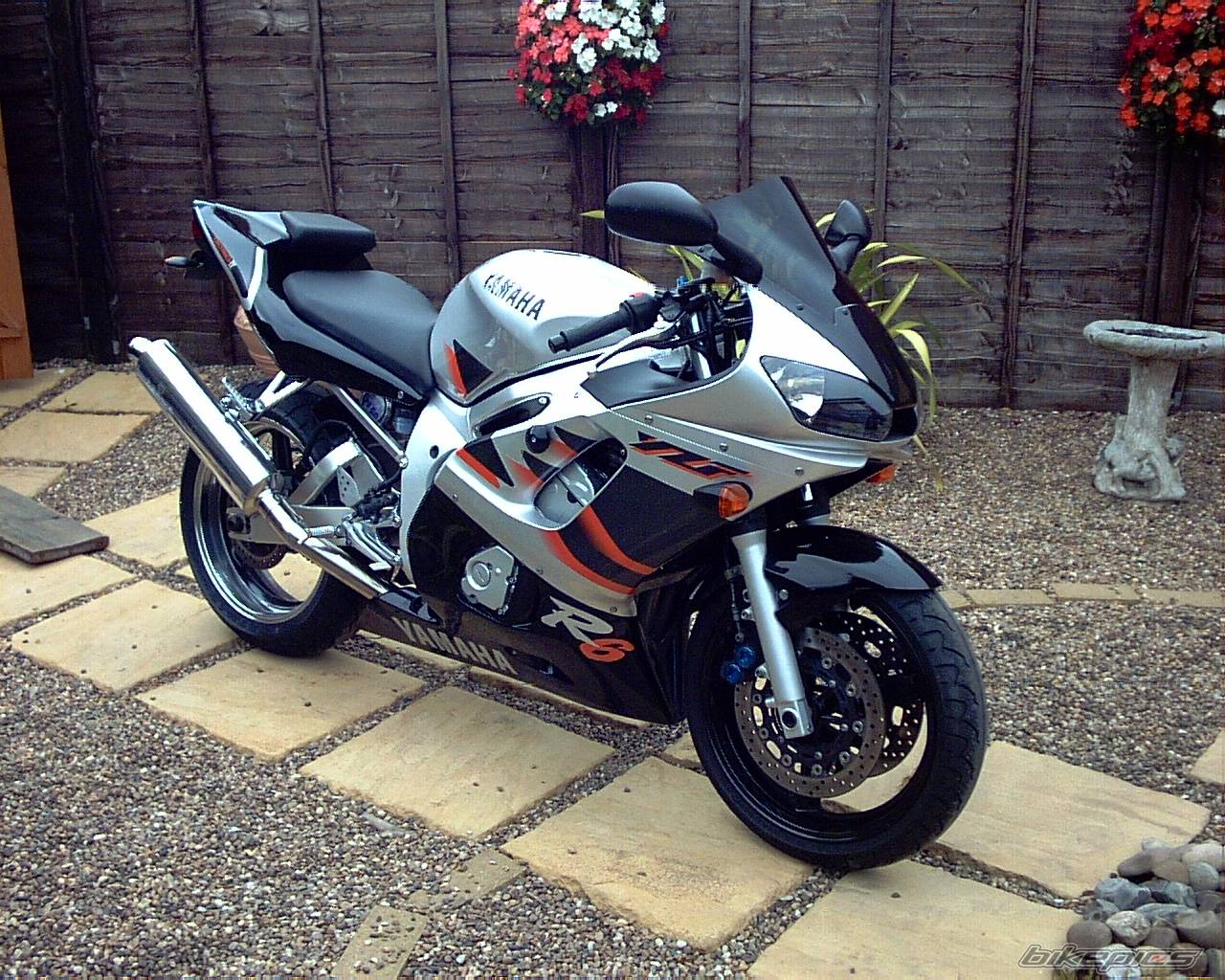 1999 YAMAHA YZF R6 | Picture 55772 motorcycle photo