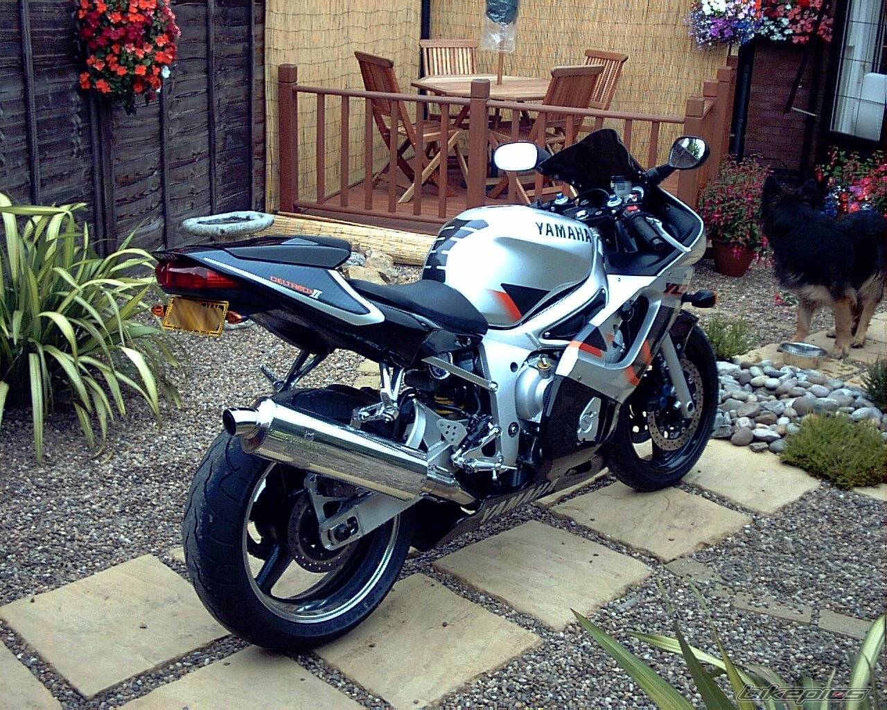 1999 YAMAHA YZF R6 | Picture 55773 motorcycle photo