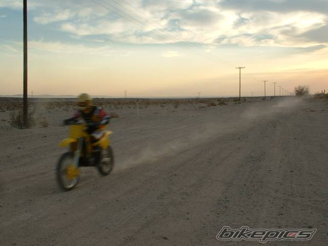1998 SUZUKI RM 250 | Picture 55774 motorcycle photo