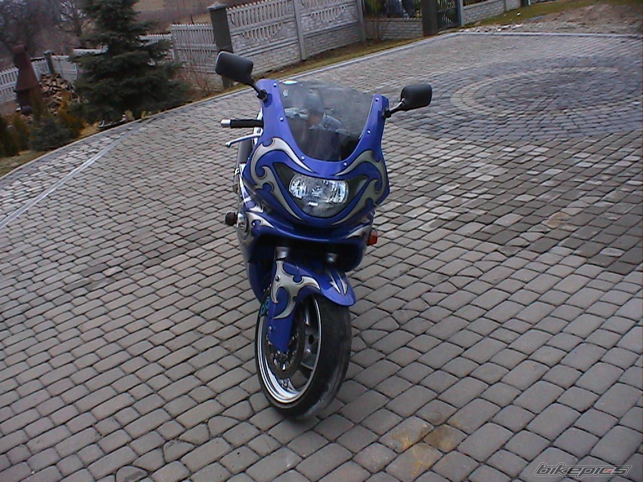 2003 YAMAHA YZF 600 | Picture 557883 motorcycle photo