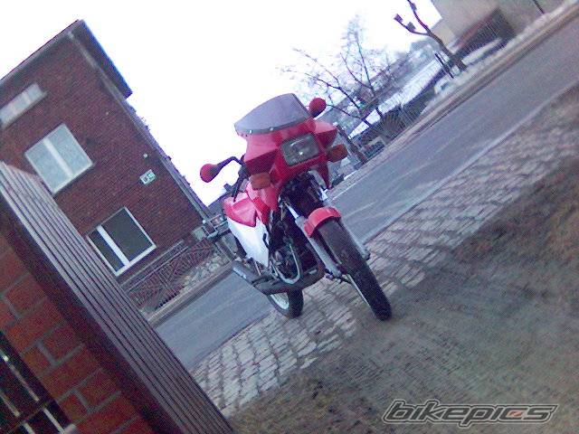 1990 SUZUKI RG 80 | Picture 557985 motorcycle photo