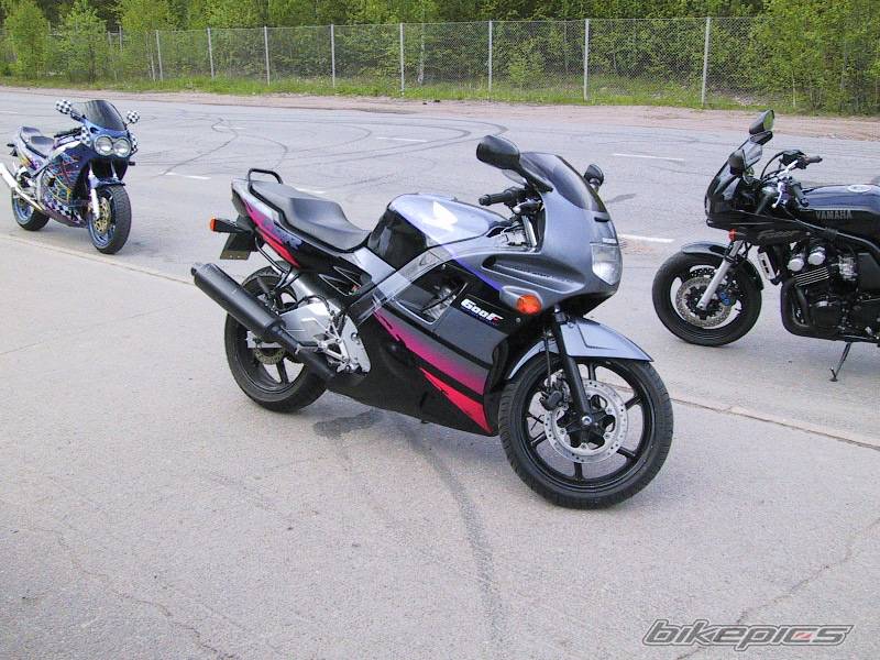 1992 HONDA CBR 600 | Picture 5589 motorcycle photo