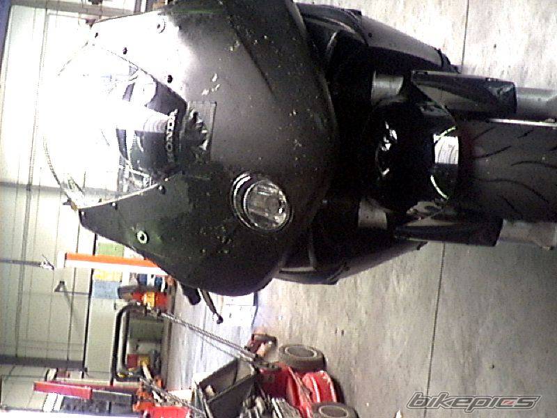 2003 HONDA CBR 600 | Picture 55896 motorcycle photo