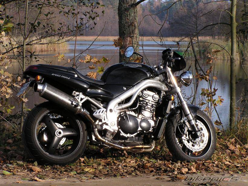 1999 TRIUMPH SPEED TRIPLE | Picture 559503 motorcycle photo