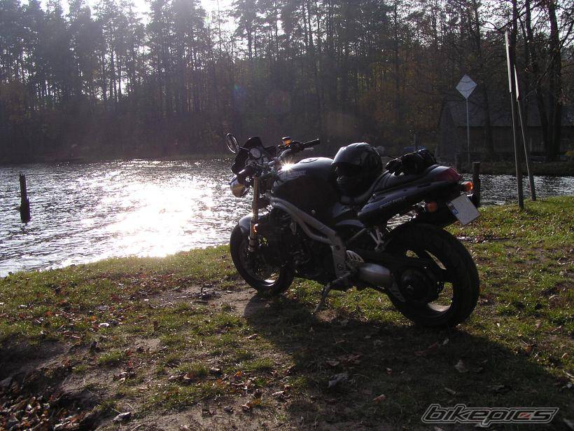 1999 TRIUMPH SPEED TRIPLE | Picture 559509 motorcycle photo