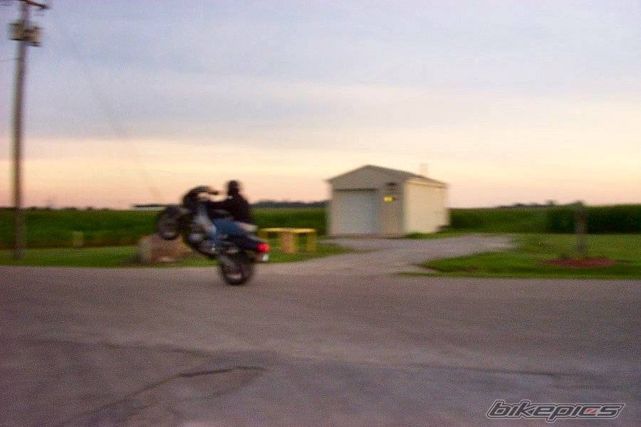 1995 YAMAHA YZF 600 | Picture 55968 motorcycle photo