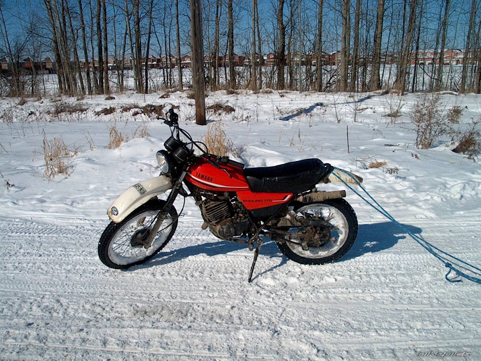 1981 YAMAHA DT 175 | Picture 559829 motorcycle photo