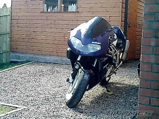 1999 SUZUKI TL1000R | Picture 560062 motorcycle photo