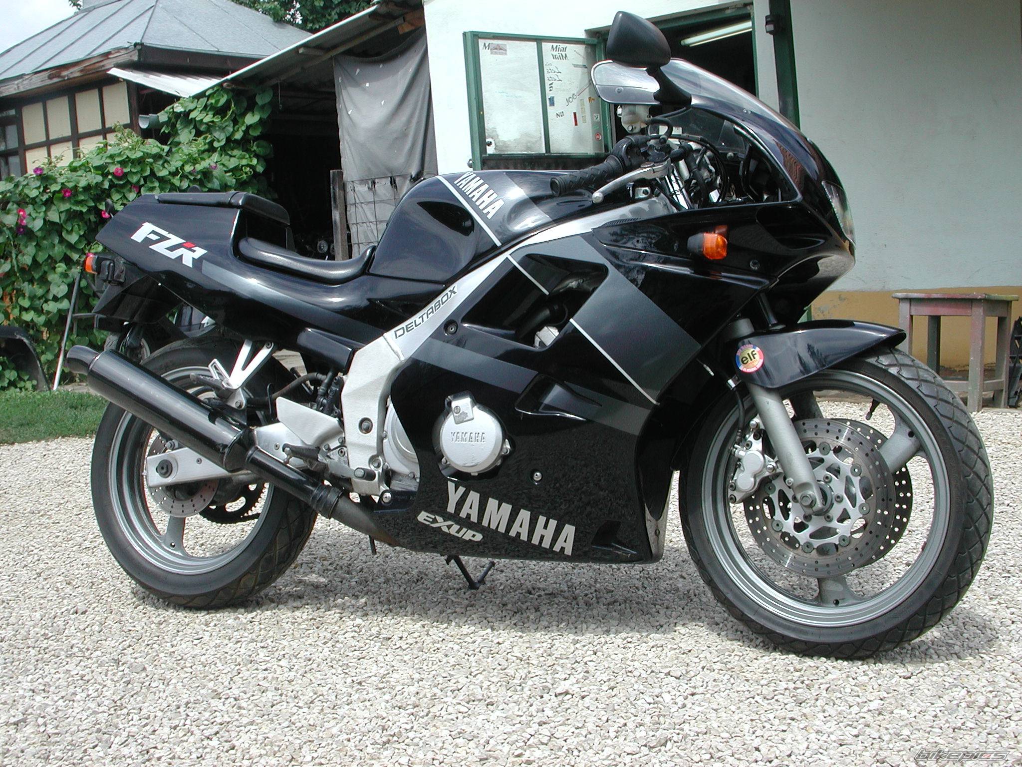 1992 YAMAHA FZR 250 | Picture 56051 motorcycle photo