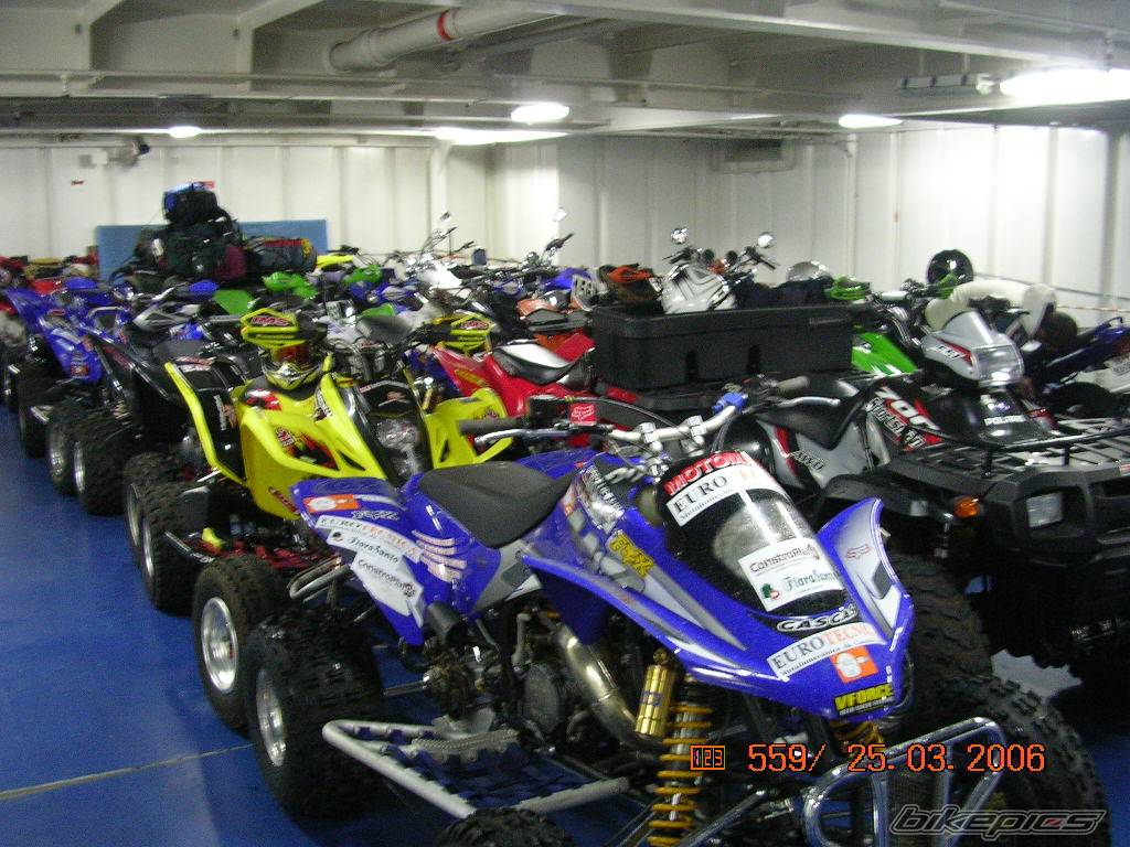2004 GAS GAS WILD 300 | Picture 560625 motorcycle photo