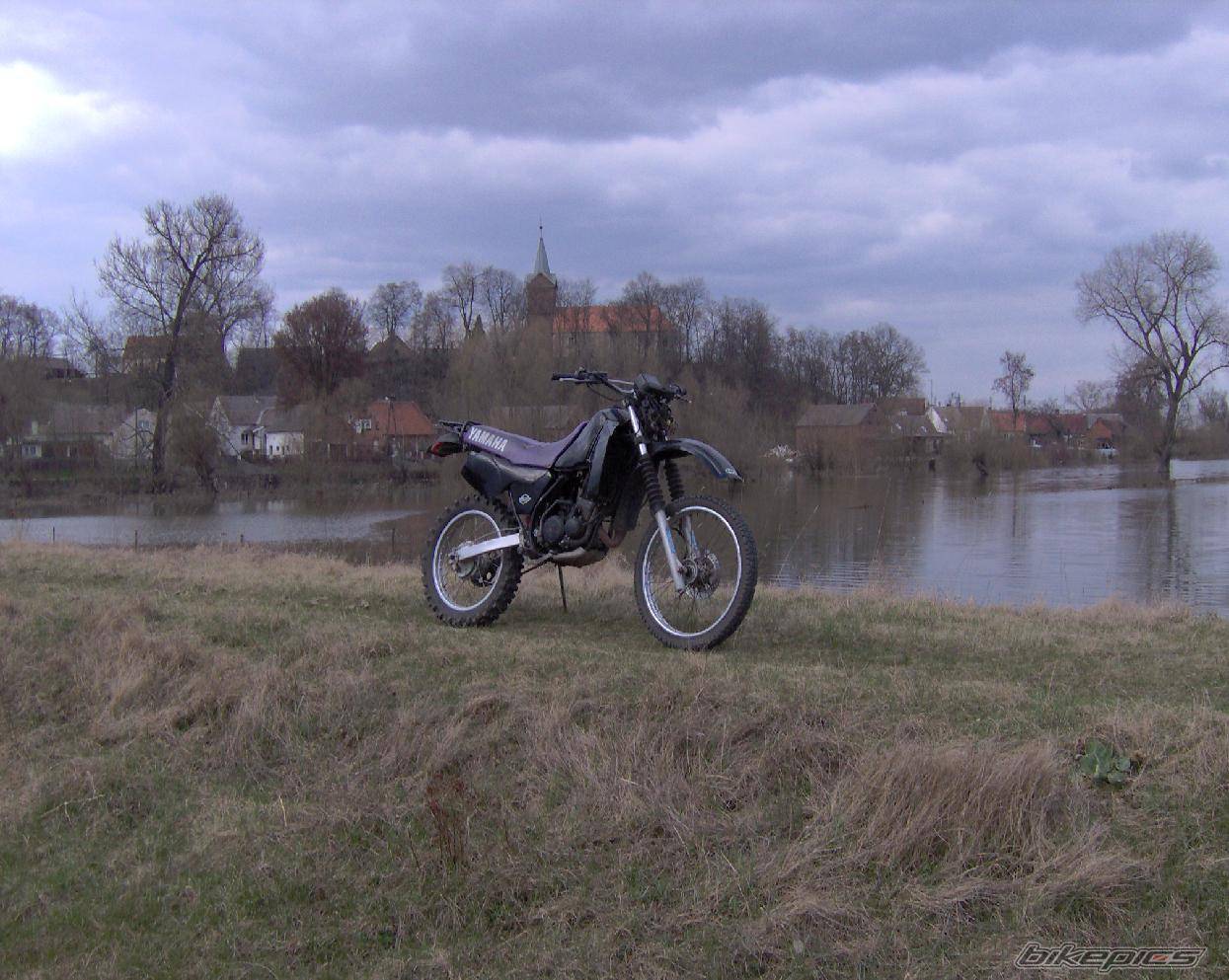 1993 YAMAHA DT 80 | Picture 561010 motorcycle photo