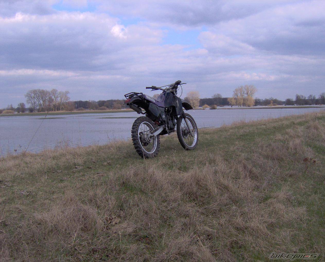 561011 | Picture 561011 motorcycle photo
