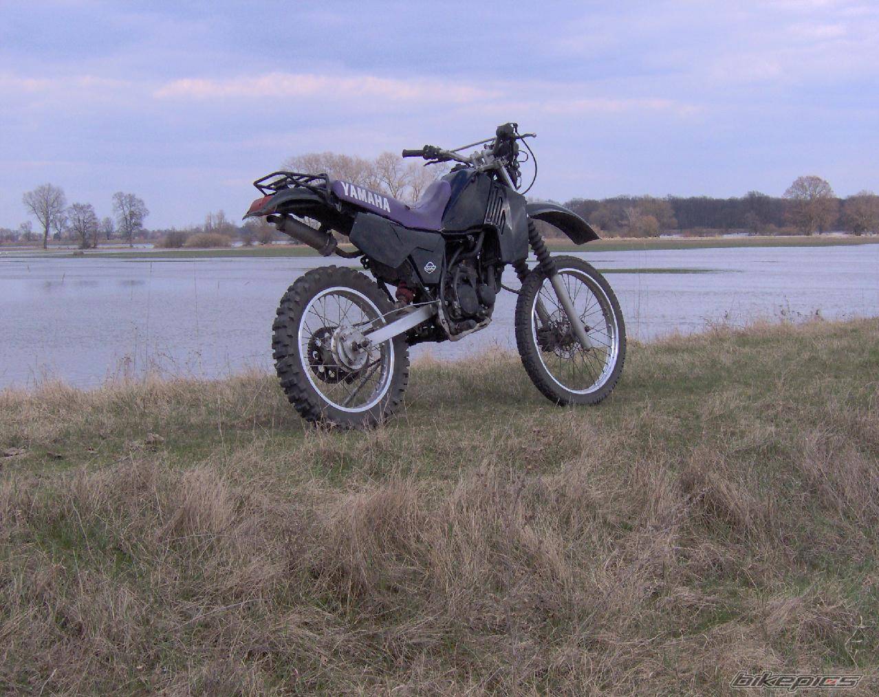 1993 YAMAHA DT 80 | Picture 561012 motorcycle photo
