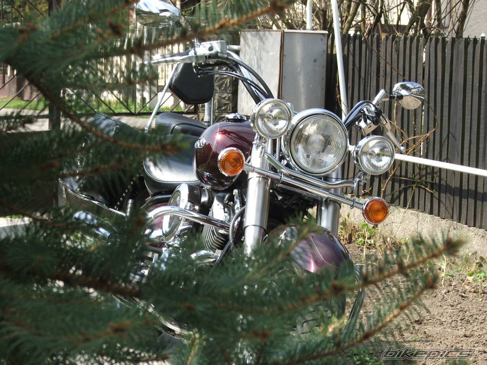 2006 YAMAHA XVS1100A DRAGSTAR CLASSIC | Picture 561089 motorcycle photo