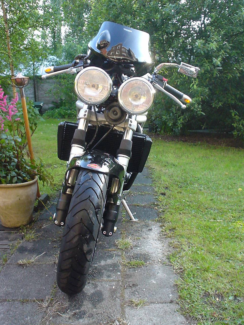 2000 TRIUMPH SPEED TRIPLE | Picture 56121 motorcycle photo