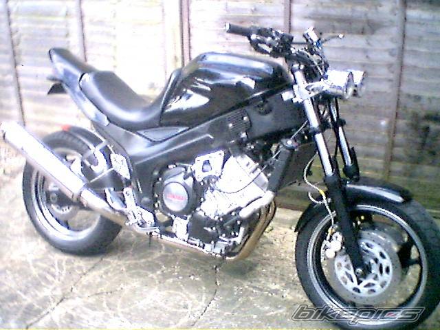 1998 YAMAHA TDM 850 | Picture 561508 motorcycle photo