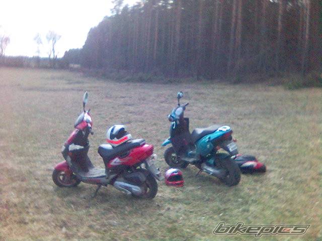 1995 APRILIA RALLY 50 | Picture 561927 motorcycle photo