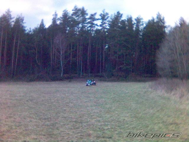 1995 APRILIA RALLY 50 | Picture 561937 motorcycle photo