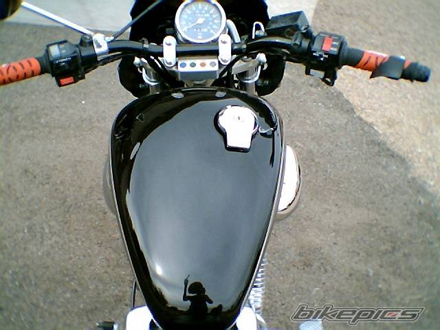 1995 YAMAHA VIRAGO 535 | Picture 561938 motorcycle photo