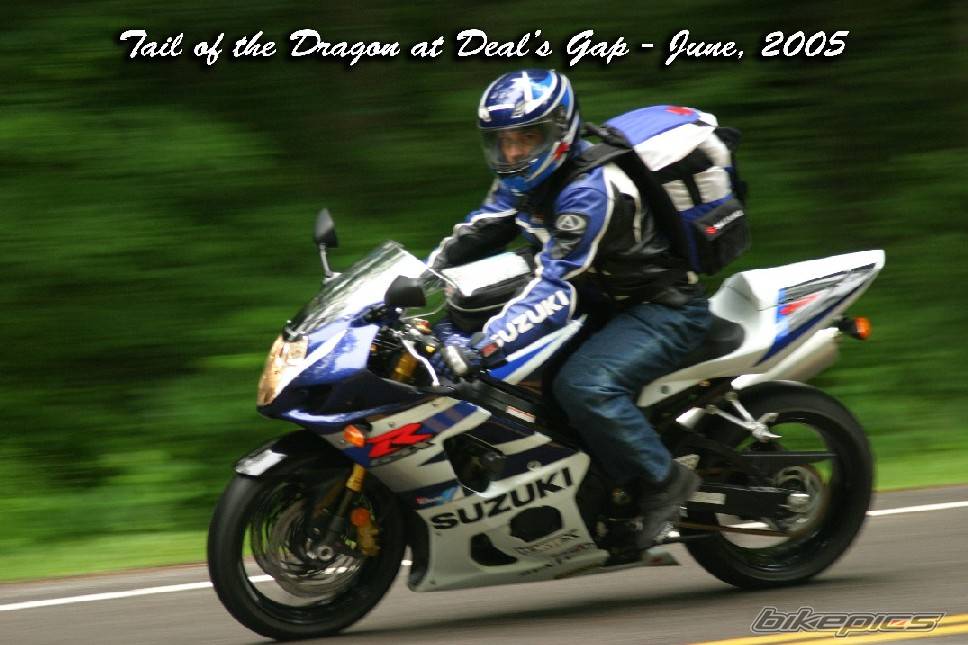 2004 SUZUKI GSX R 1000 | Picture 561940 motorcycle photo