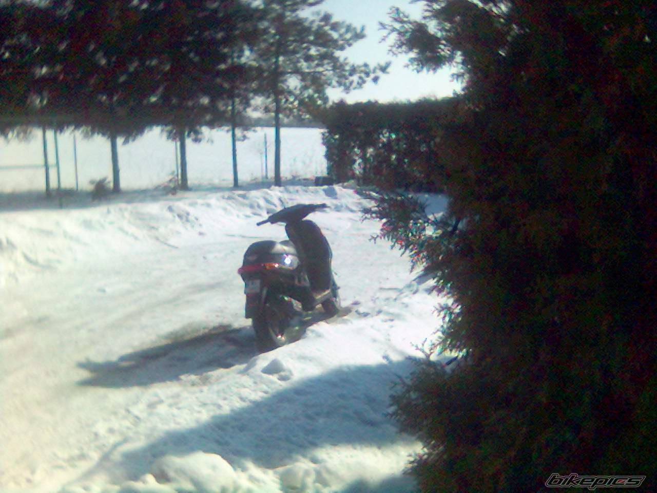 2006 PIAGGIO TPH 50 | Picture 562420 motorcycle photo