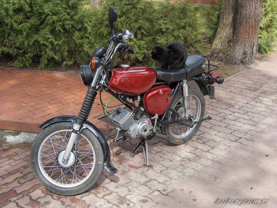 1986 SIMSON S 51 | Picture 563384 motorcycle photo