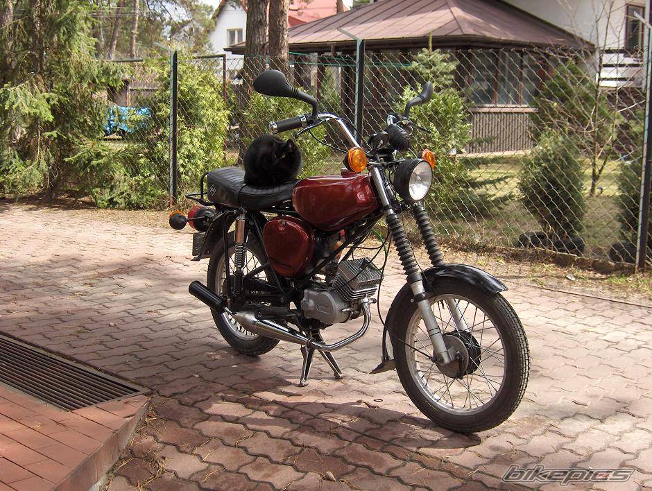 1986 SIMSON S 51 | Picture 563385 motorcycle photo