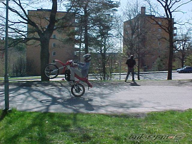 1999 HONDA MT 50 | Picture 563422 motorcycle photo
