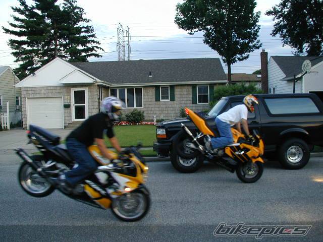 1999 HONDA CBR 600 | Picture 5646 motorcycle photo