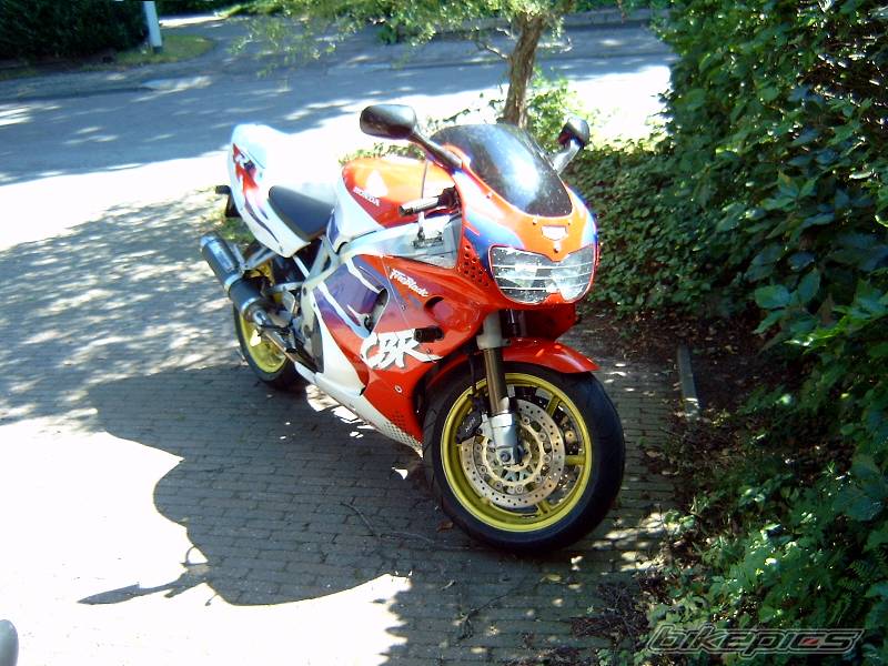 1995 HONDA CBR 900 | Picture 56470 motorcycle photo