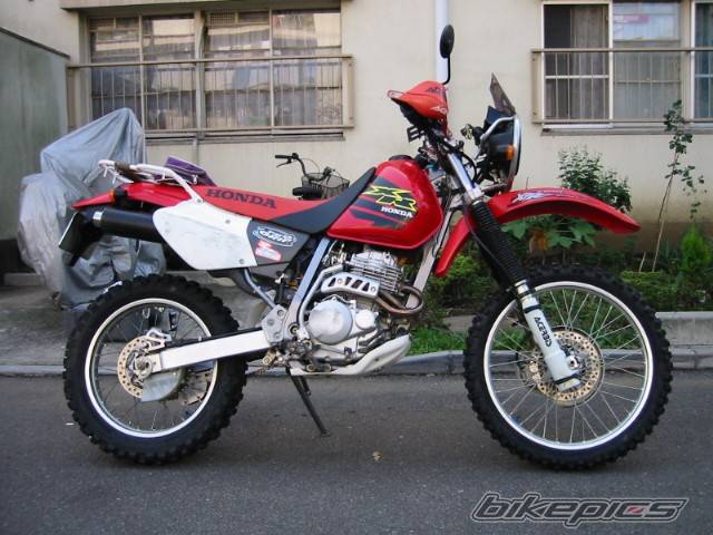 1994 HONDA XR 250 BAJA | Picture 565044 motorcycle photo