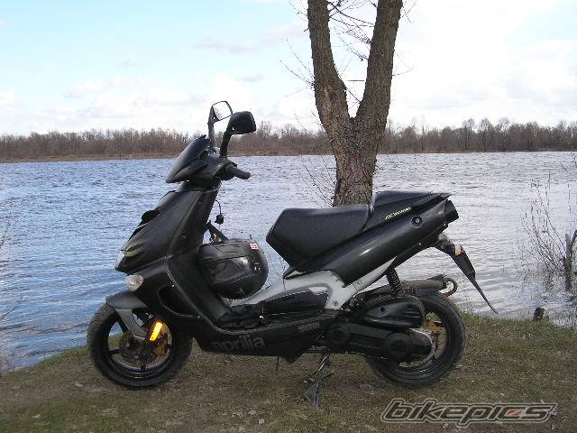 2002 APRILIA SR 50 | Picture 565145 motorcycle photo