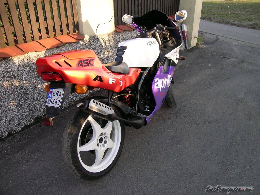 1990 APRILIA AF1 FUTURA 50 | Picture 565327 motorcycle photo