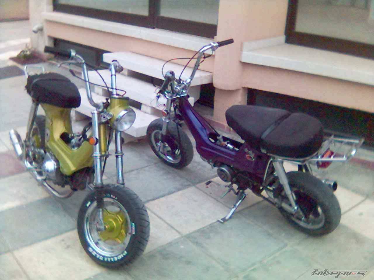 1987 HONDA CHALY | Picture 565577 motorcycle photo