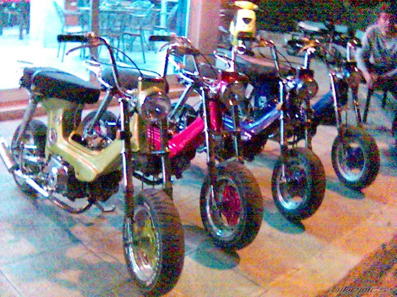 1987 HONDA CHALY | Picture 565589 motorcycle photo