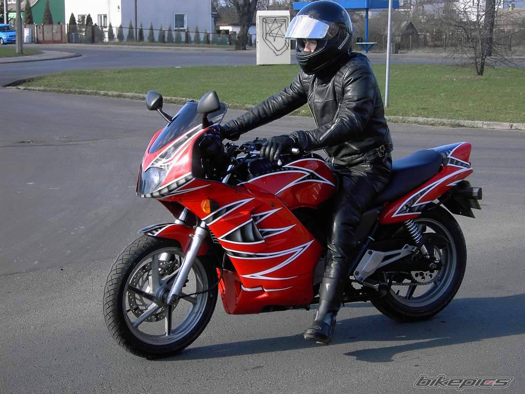 1993 HONDA CB 500 | Picture 565703 motorcycle photo