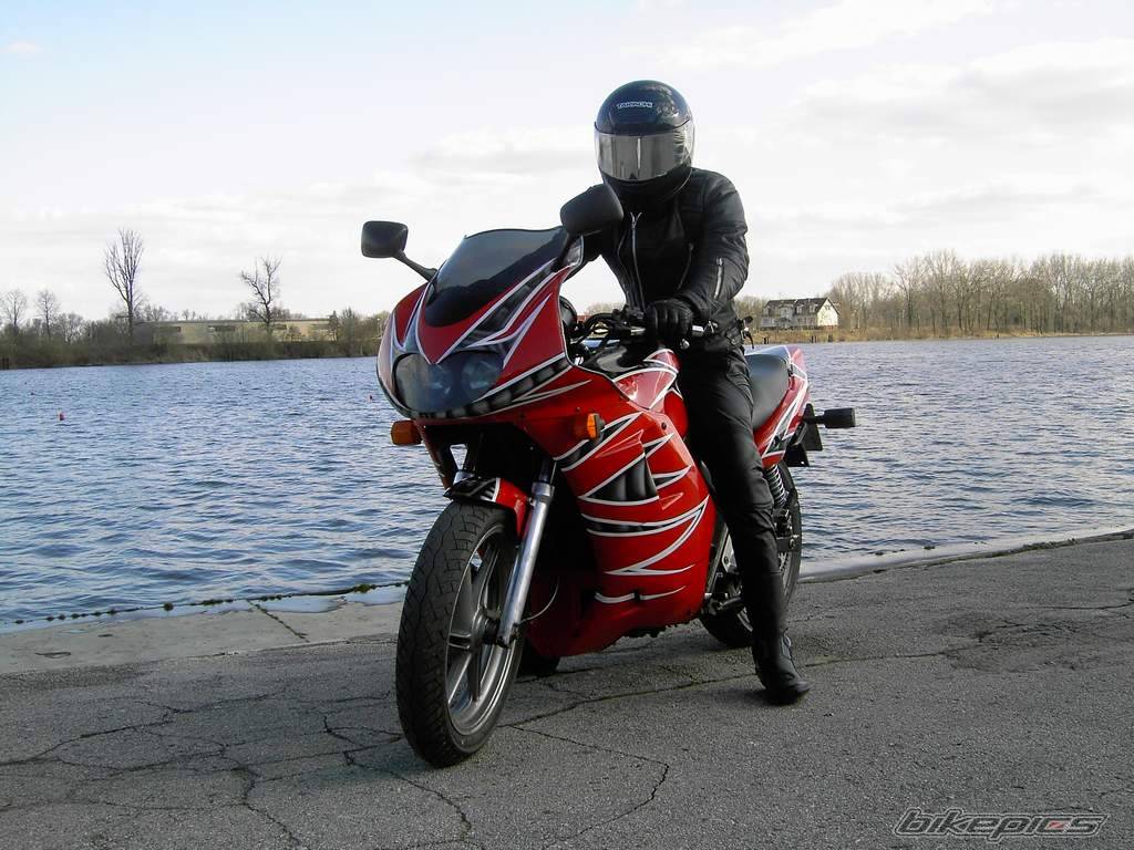 1993 HONDA CB 500 | Picture 565713 motorcycle photo