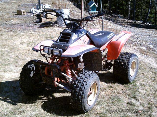 1986 YAMAHA WARRIOR | Picture 565715 motorcycle photo