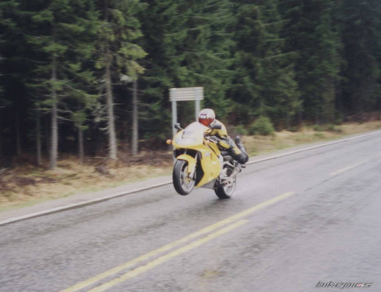 1999 SUZUKI TL1000R | Picture 56628 motorcycle photo