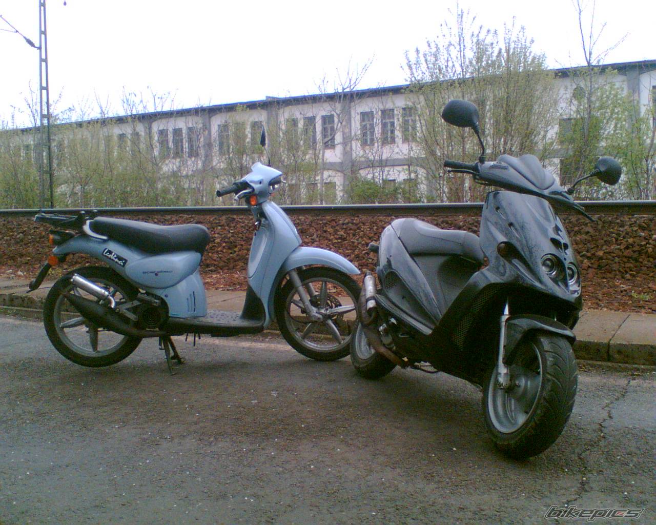 1998 MALAGUTI PHANTOM 50 F12 | Picture 566436 motorcycle photo
