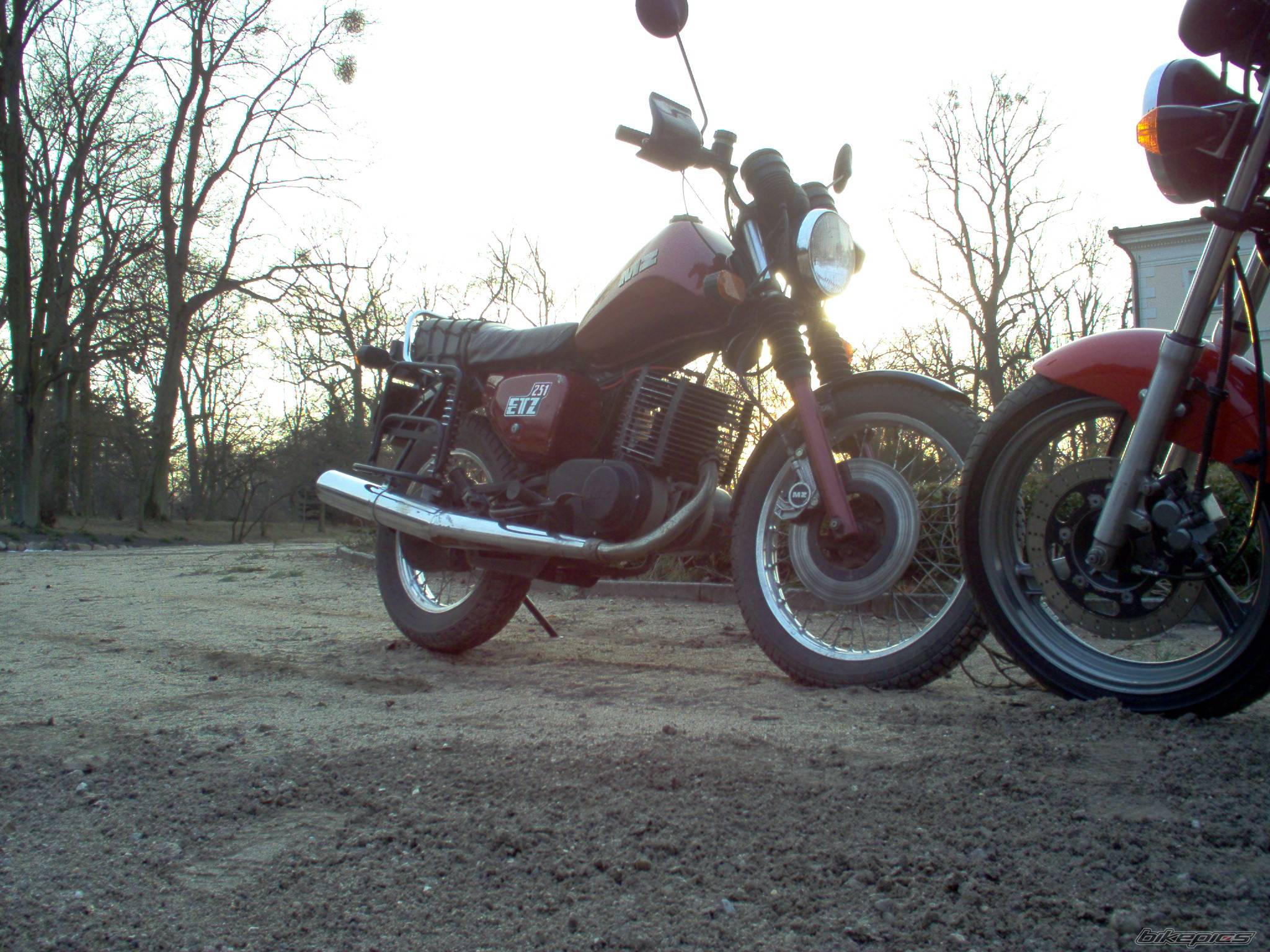 1990 MZ ETZ 251 | Picture 566562 motorcycle photo