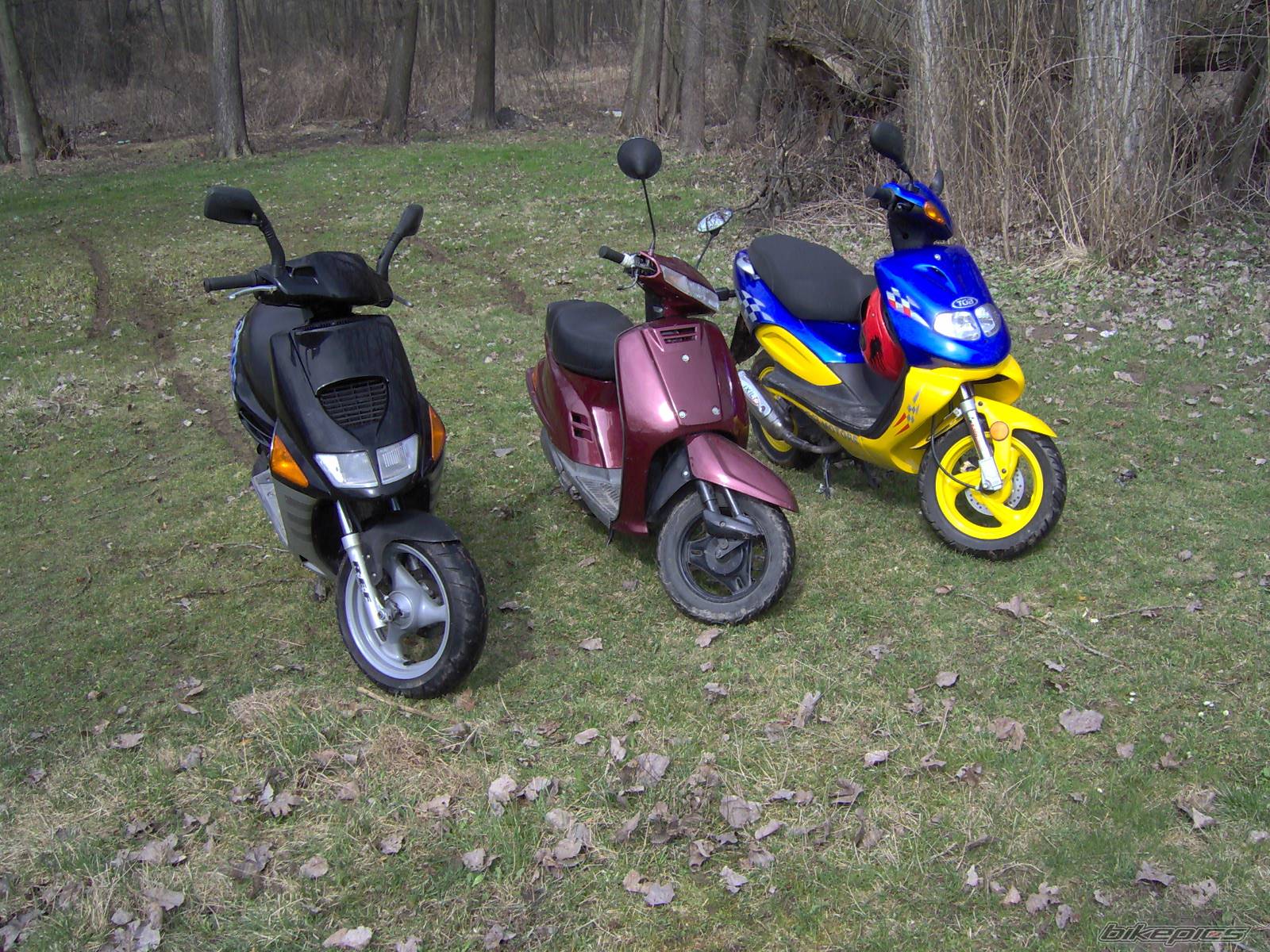 2002 TGB 303 RS | Picture 567217 motorcycle photo
