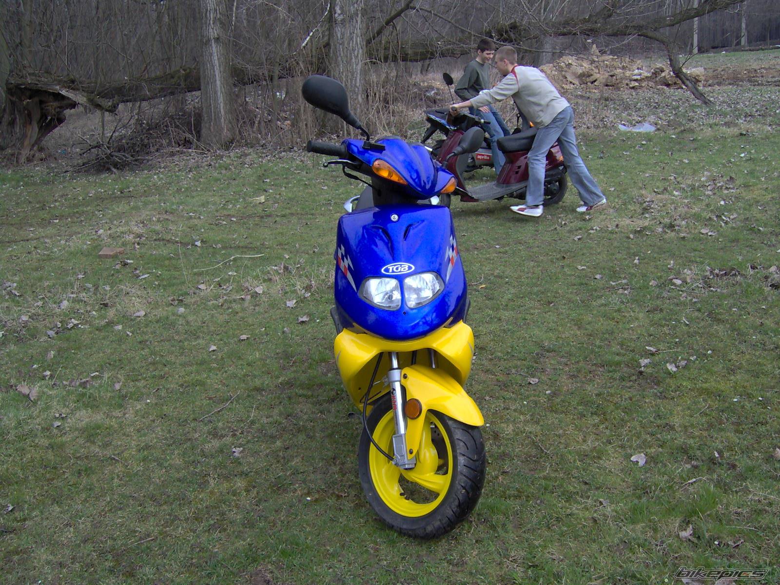 2002 TGB 303 RS | Picture 567219 motorcycle photo