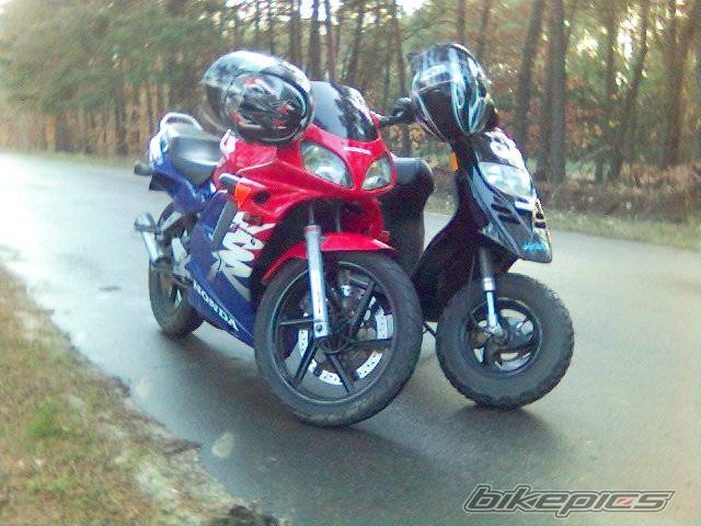 2006 PIAGGIO TPH 50 | Picture 567492 motorcycle photo