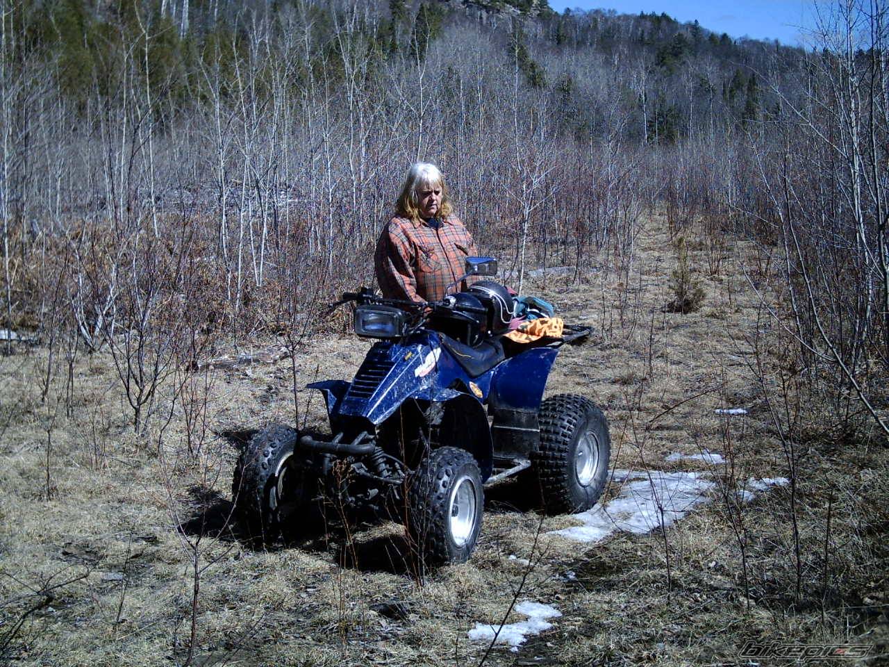 1987 SUZUKI LT 230 | Picture 567989 motorcycle photo